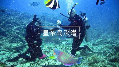 38岁网红二胎宝妈哺乳期因感冒离世?知情人:属实