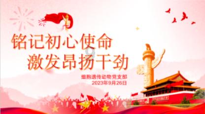 杨满红“寻亲”记（二）