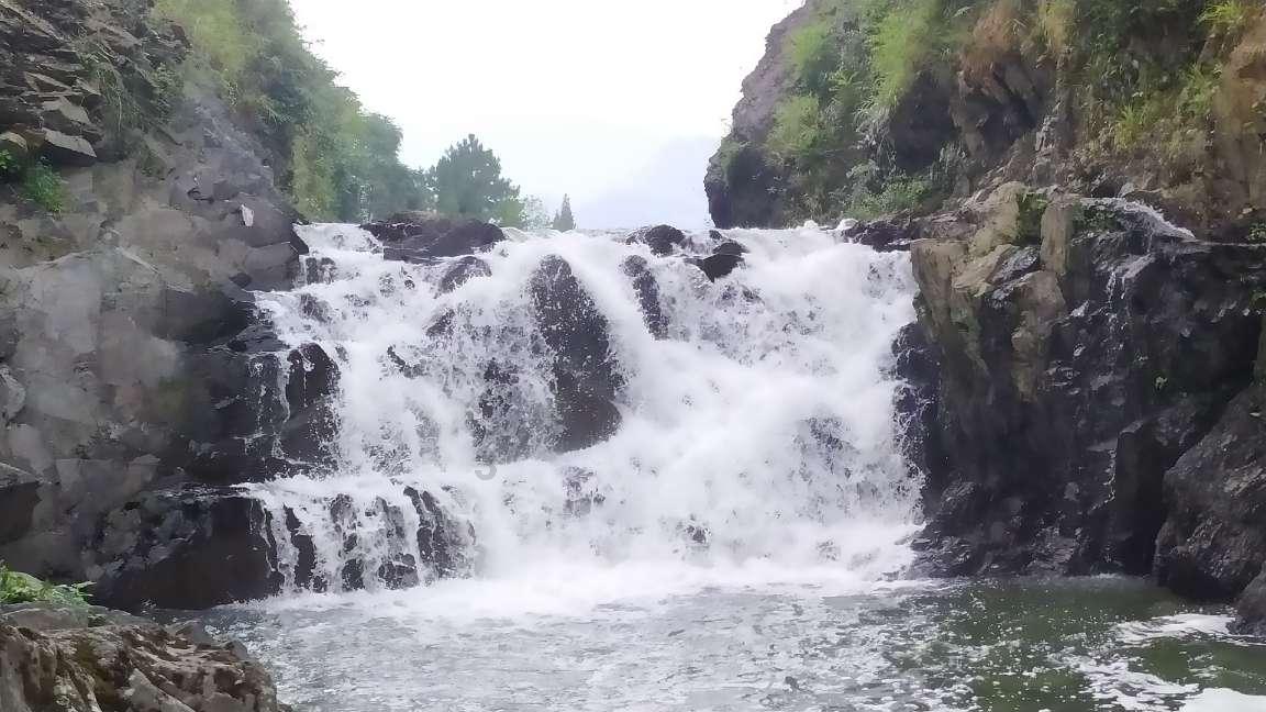 泡泡趴