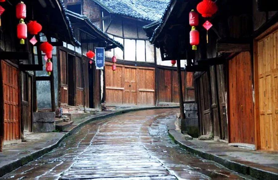 探探猫历险记2